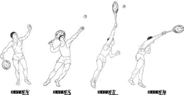 Fig. 1. The serve is divided into four phases : the wind-up phase (1-A), cocking phase (1-B), acceleration phase (1- (1-C), and follow-through phase (1-D).