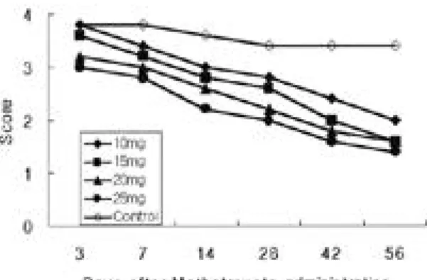 Fig. 2. Methotrexate concentrations at stop, 24, 48 hours after  intraperitoneal insertions of cement beads.Blood levels were similar ar 24 hours regardless of dosage.