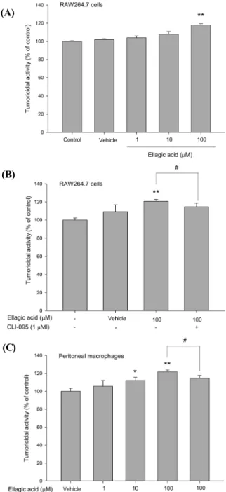 Fig. 2. (A) The effect of ellagic acid (EA) on RAW264.7  cells-mediated tumoricidal activity