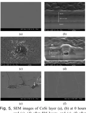 Fig. 5. SEM images of CoSi layer (a), (b) at 0 hours  and (c), (d) after 504 hours, and (e), (f) after  840 hours (a)는  요오드계  전해질과  0시간  반응시킨  후  CoSi의  표면을  FE-SEM을  이용하여  1,000배  확대한  이미지이 다