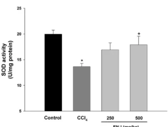 Fig. 5. Hepatic SOD activity of BALB/c mice treated with  vehicle (control; C), carbon tetrachloride (CCl 4 ; 40 mg/kg),  CCl 4  plus E
