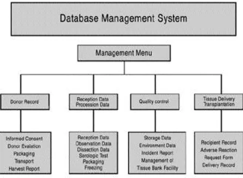 Fig. 11. Structure of Database Management System