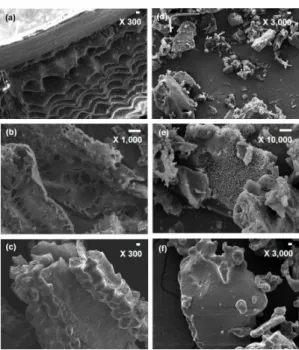 Fig.  4.  Absorption capacity of RHA under saturated  condition (20 °C, RH 100%)