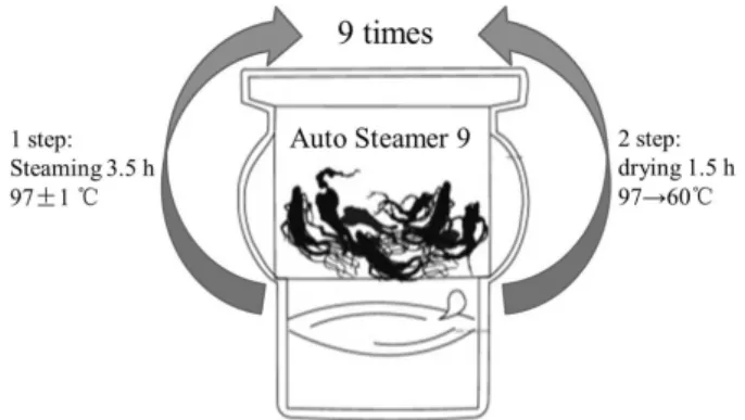 Fig. 1. New method for 9 repetitive times steaming and drying process by auto steamer 9.