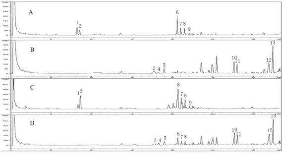Fig. 2. HPLC analysis of the ginsenosides in ginseng produced by 9 repetitive steaming and drying process.