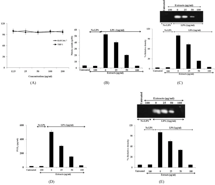 Fig. 2. Cytotoxicity (A) and the effect of different concentrations of ethyl acetate fraction from  C