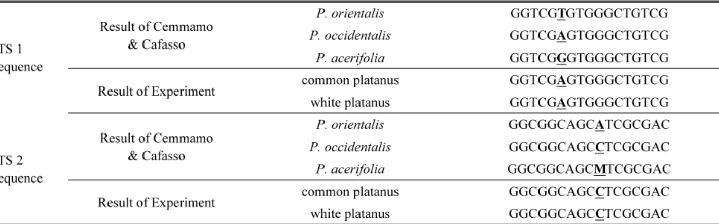 Table 4. ITS 1 and 2 sequence of analyzed Platanus species ITS 1 sequence Result of Cemmamo &amp; Cafasso P