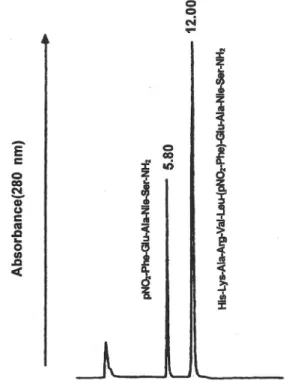 Fig. 1. HPLC profile of the reaction mixture of HIV-1  protease. The substrate and its hydrolysate were detected  at 280 nm and their retention times were 12.00 and 5.80  min, respectively.