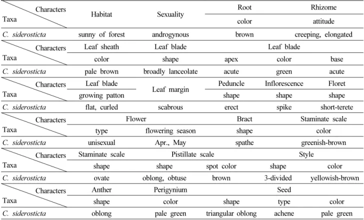 Table 2. Quantitative characters of Carex siderosticta Hance in Korea Characters