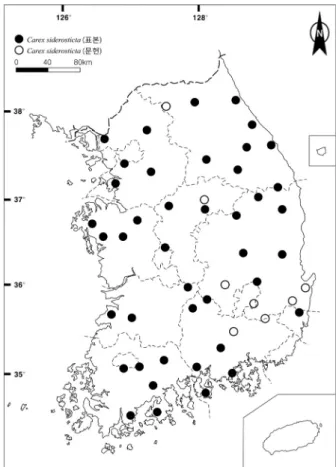 Fig. 2. Distribution of C. siderosticta in Korea.성숙 후에는 둥글게 말린다. 기부가 엉성한 엽초로 된다. 기부의 엽초는 길이가 1-2 cm로, 잎이 없고 연한 갈색이며, 묵은 엽초는 실 모양으로 갈라진다