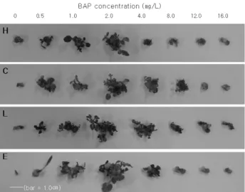 Fig. 1. Formation of adventitious shoots from hypocotyl  (H), cotyledon (C), leaf (L) and epicotyl (E) segments of  Solanum nigrum on MS media containing various  con-centration of BAP (0.5, 1.0, 2.0, 4.0, 8.0, 12.0, 16.0 mg L -1 )  after 5 weeks of cultur