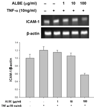 Fig. 2. The effect of ALBE on the production of NO by  A549 cells in the presense of TNF-α