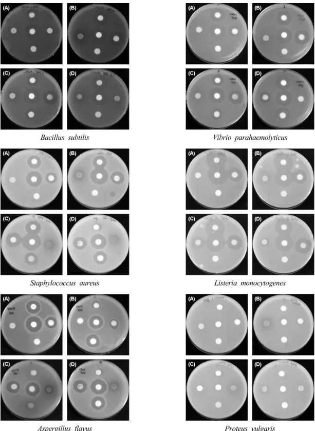 Fig. 1. Inhibition activity of the cosmetic composition having the natural plant pigment against the microorganism in  the paper disc diffusion assay