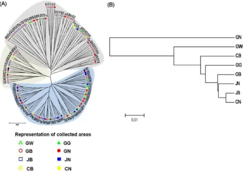 Fig. 1. Unrooted neighbor-joining trees of 179 buckwheat accessions collected from different regions in Korea based on  Nei’s genetic distances among 10 SSR loci (A) and the genetic relationships among different populations in different  regions (B).