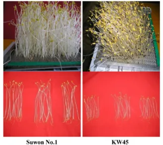 Table 1. Effect of temperature on growth characteristics of buckwheat sprouts.