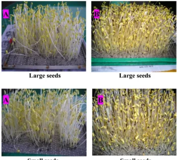 Table 3. Effect of seed quality on sprouts production yield of buckwheat species.