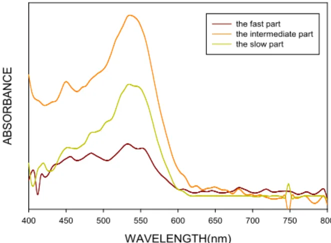 Fig.  11.  Absorption  spectra  of  the  colorants  depending  on  development  extent  via  paper  chromatograph.