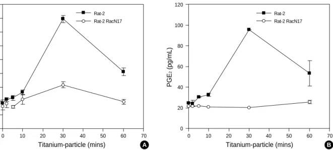 Fig. 4. Enhanced synthesis of LTB 4 and PGE 2 by Titanium in a Rac-dependent manner. (A) Rat-2 and Rat2-RacN17 Asp17 were exposed to 0.1 mg/mL Titanium-particles for the indicated time periods, and then the intracellular LTB 4 and PGE 2 were assayed using 