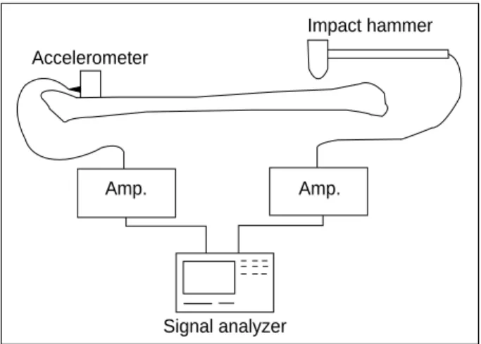 Fig. 5. The bending force applied to the tibia in the direction of No.4.