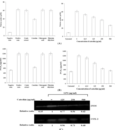 Fig. 4. Anti-inflammatory effect of catechin, chlorogenic acid and phlorizin dihydrate from apples in LPS-stimulated RAW264.7  cells