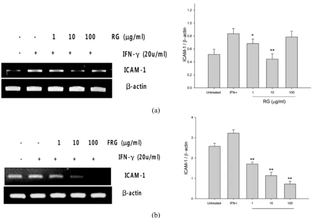 Fig. 2. (a) The effect of RG and (b) FRG on ICAM-1 expression in IFN-γ-treated keratinocyte