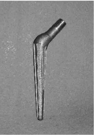 Fig. 1. Conical stem has a tapered angle of 5° with even eight sharp longitudinal ridge, it consist of coarse blasted titanium surface for osteointegration.