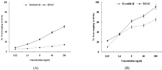 Fig. 2.  Fe 2+  chelating (A) activity and hydrogen peroxide (B) scavenging activity of the extracts from Agastache rugosa
