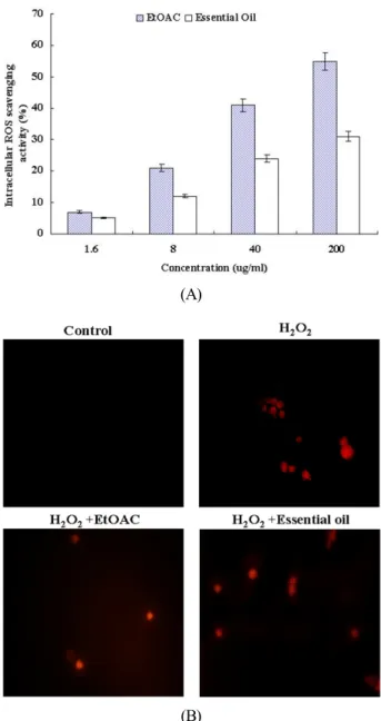Fig. 3.  Effect of the extracts from Agastache rugosa on sca- sca-venging intracellular ROS