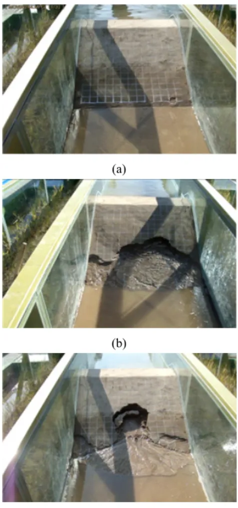 Fig. 6. Result of small-scale model test