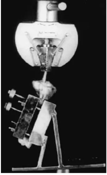 FIGURE 1. A photograph shows biomechanical test with cyclic load using Instron ® machine, which grasps graft-tibia bone complex with specially designed clamps.