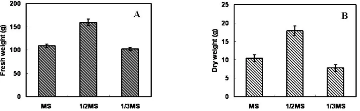 Fig. 5. Effect of MS salt concentration on adventitious root growth of P. urinaria in MS liquid medium after 4 weeks of culture