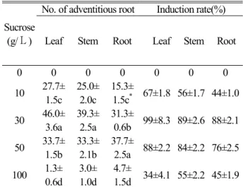 Fig. 1. Adventitious roots of R. sachalinensis. A; Control(without  IBA and/or sucrose)(bar=10 mm), B; Leaf segment(bar=5 mm),  C; Stem segment(bar=5 mm), D; Root segment(bar=5 mm), E; 