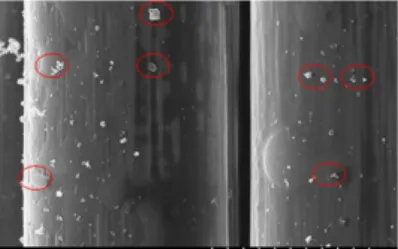 Fig. 2. Image fo Sizing removed state by high pressure