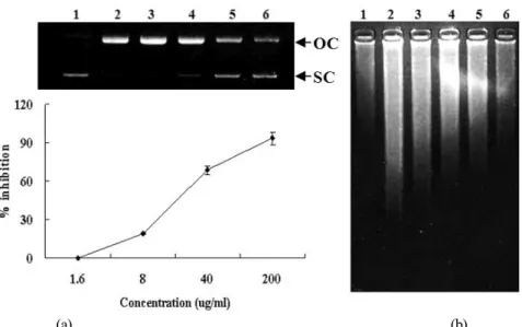Fig. 4.  Inhibitory effect of the extracts from Schisandra chinensis on hydroxyl radical-induced DNA damage