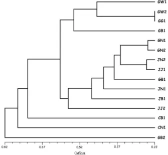 Fig. 2.  UPGMA phenogram of 15 populations of Artemisia  capillaris based on RAPD analysis.
