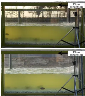 Fig. 6. Behavior of bluegill(with-barrier)