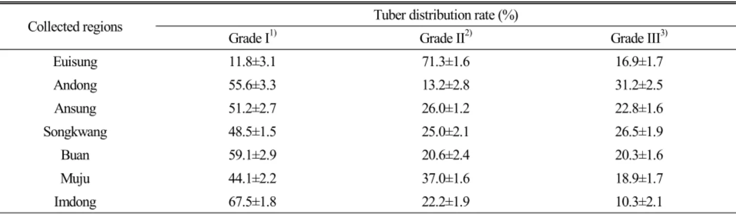Fig. 3. Changes of accumulated carbohydrate patterns in Euisung line (red skinned tuber) and Imdong line (white skinned tuber) of Jerusalem artichoke