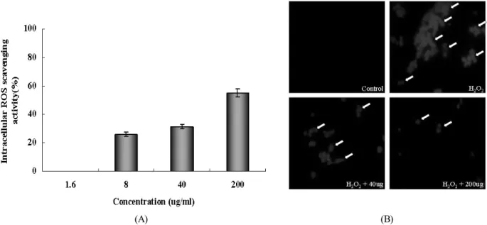 Fig. 3. Intracellular ROS scavenging activity of the extracts fromBuddleja officinalis