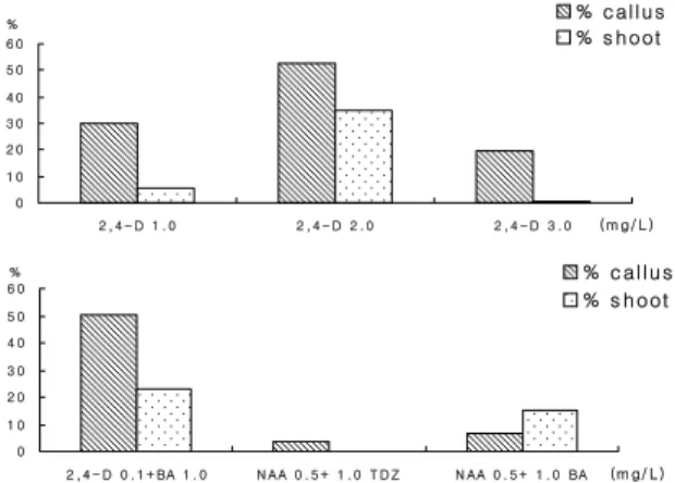 Fig. 1. Effect of plant growth regulators on callus induction and shoot differentiation in anther culture of Hypericum ascyron L.