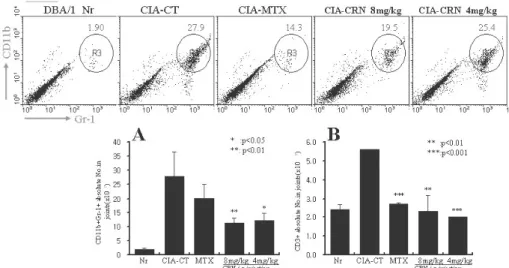 Fig. 9. Effects of MTX, and CRN on the percentage of CD11b/Gr-1 gated cells and changes of total absolute numbers in joints in CIA mice.