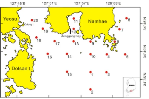 Fig. 1. Map show to sampling station in the CWoCSS.