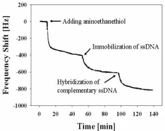 Fig.  3  The  cyclic  voltammograms  of  DNA  hybridization sensor  in  the  0.1  M  PBS  (pH  7.0).