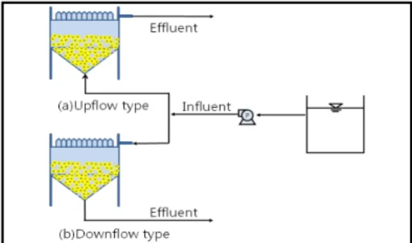 Fig.  1.  Schematic diagram of sulfur denitrification  reactor according to injection type.