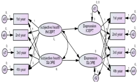 Fig.  2.  Subjective health perception and depression   relations between developmental trajectory