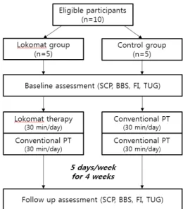 Fig. 1. Flowchart of the study.