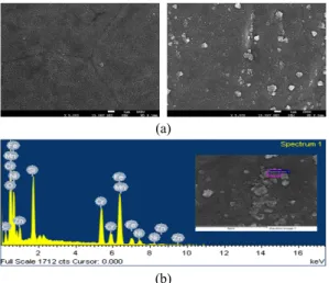 Fig. 13. Surface analysis results after nanofluids experiments          (a) SEM images showing precipitation of SiO 2