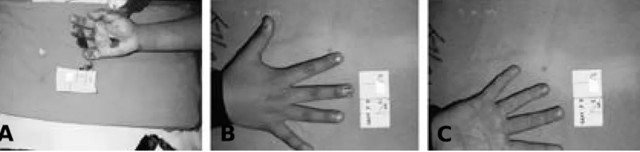 Fig. 2. Case 2