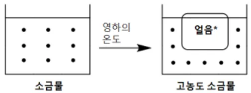 그림  3.  [ 기본모형 2]  소금물에서 얼음 형성 설명 모형 로 낮추어 주어야 소금 입자를 밀쳐내며 겨우 어는 것이다.  설문지 응답에서 많은 예비교사들이 ‘소금 입자가 얼음이 어는 것을 방해해서’라는 표현을 썼 는데,  이것은 그림 3과 직접적으로 관련이 있다