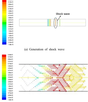 Fig. 5. Shock wave and velocity field of shock tube