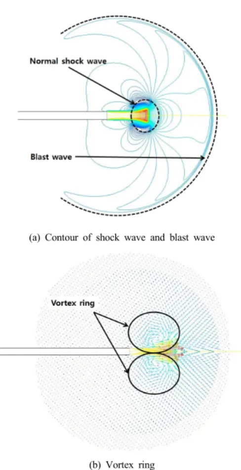 Fig. 6. Supersonic jet flow field generated at shock  tube
